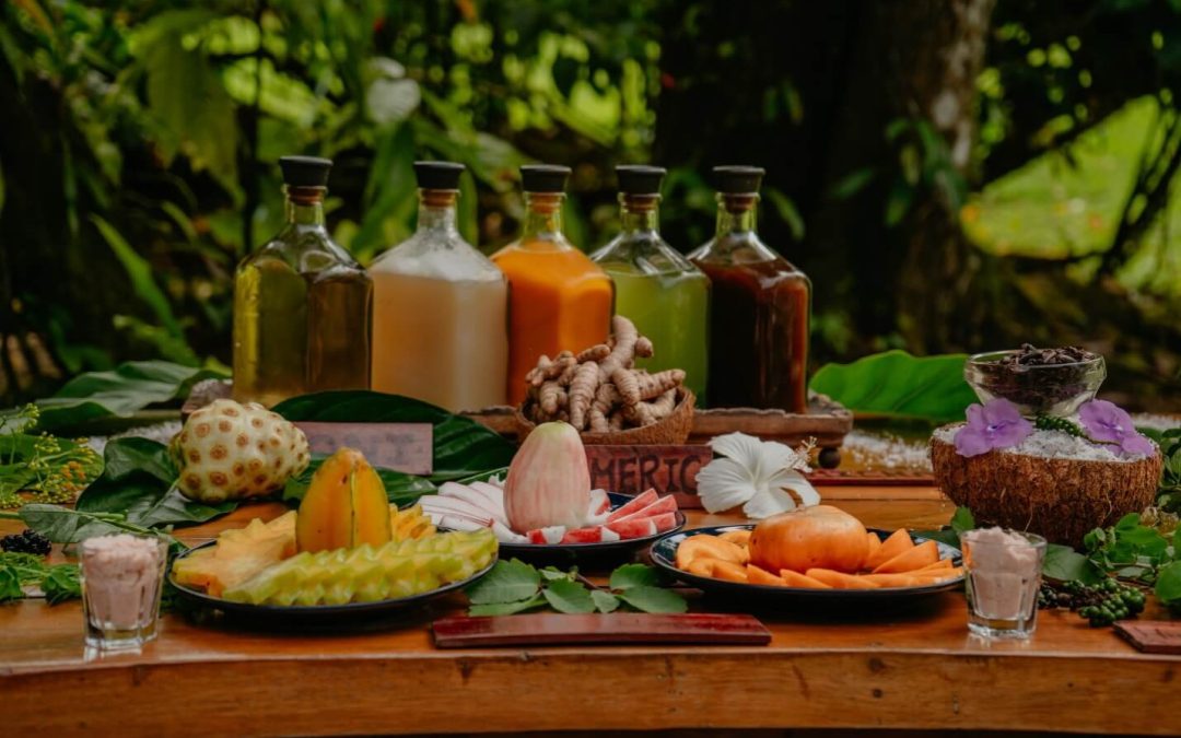 2027 Women’s Wellness Jungle Retreat